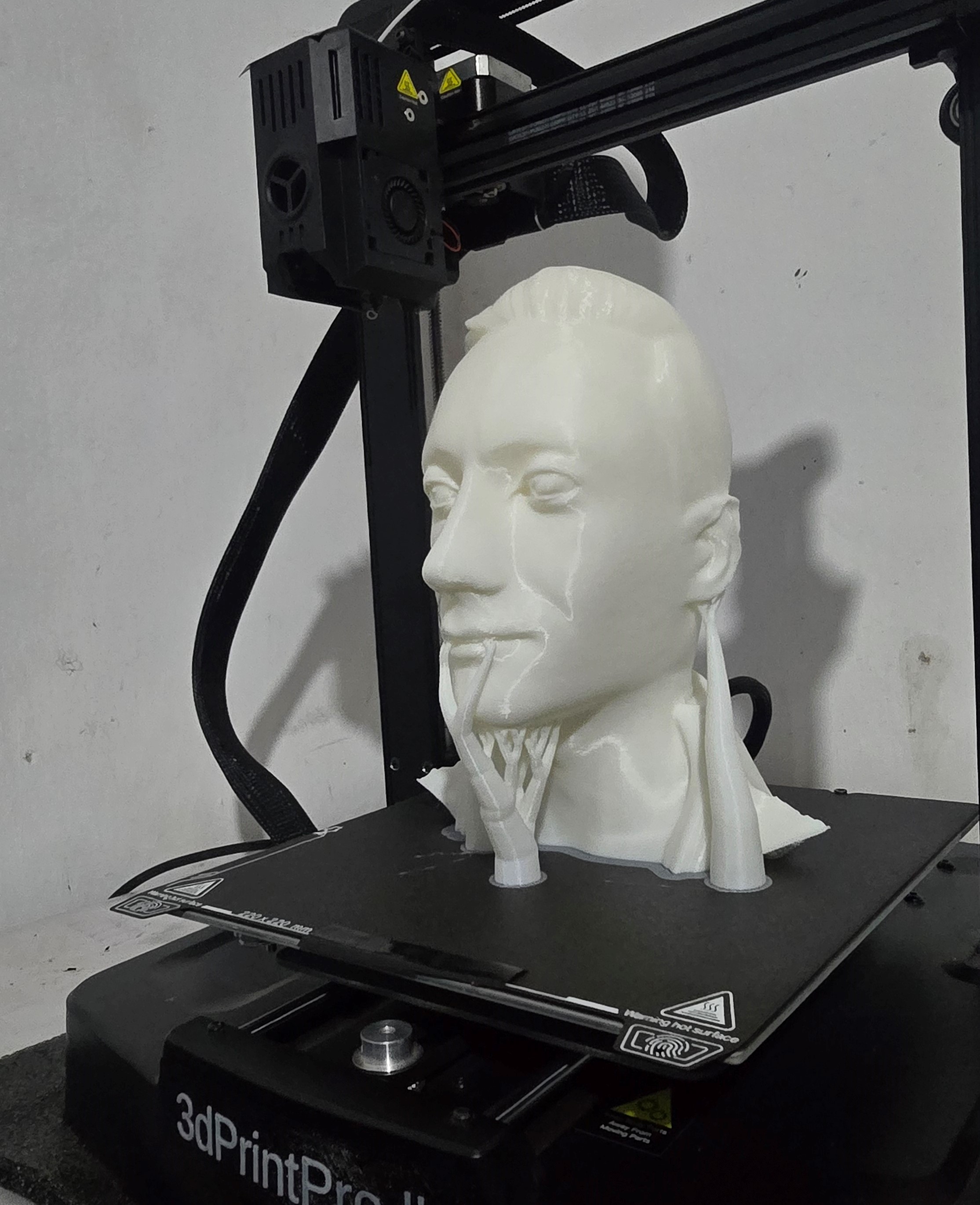 Custom Human Head Statue